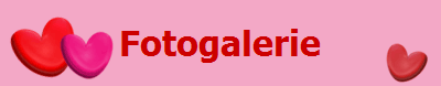 Fotogalerie